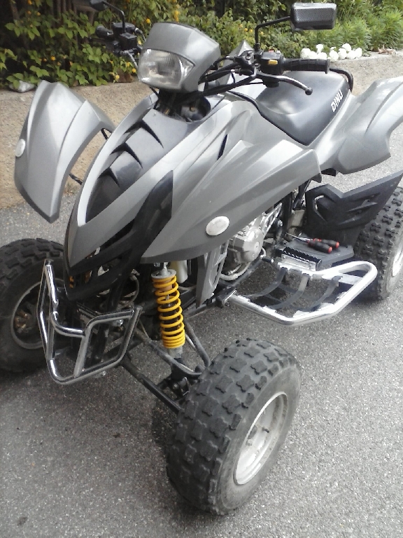 DINLI DMX 450  2006 photo 2