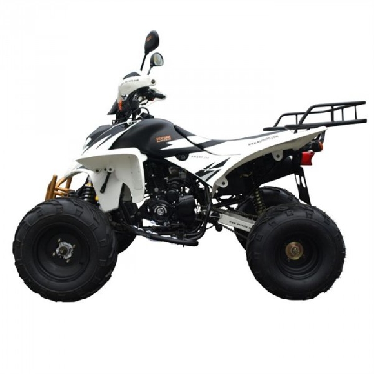 SHINERAY XY 250 STXE  2013 photo 2