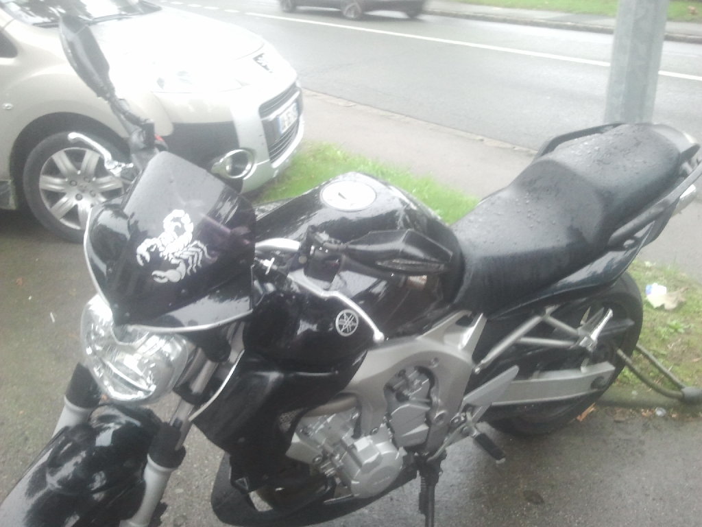 YAMAHA FZ6 N 600  2004 photo 3