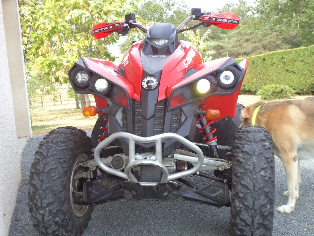 CAN-AM BOMBARDIER Renegade 500  2009 photo 2