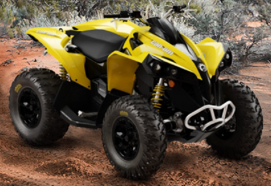 quad can am 800 renegade occasion