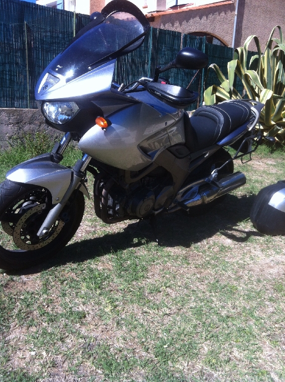 YAMAHA TDM 900  2003 photo 2