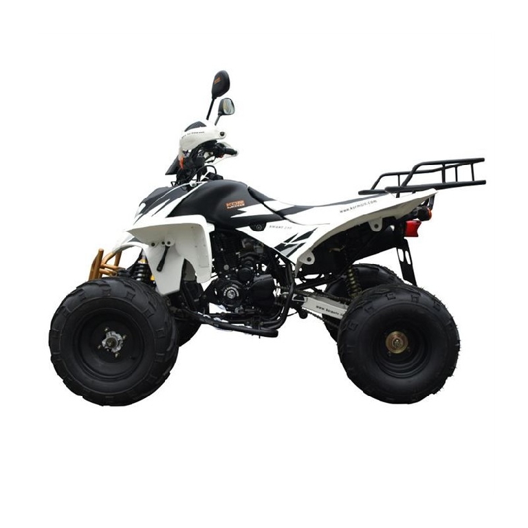 SHINERAY XY 250 STXE  2007 photo 2