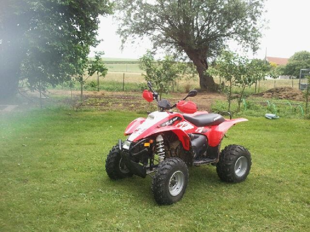 POLARIS Trail Blazer 330  2008 photo 2