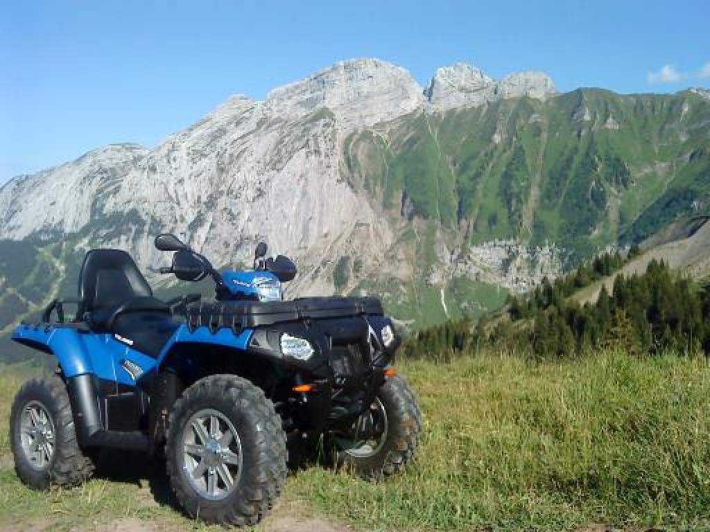 POLARIS Sportsman 550 full 2010 photo 3