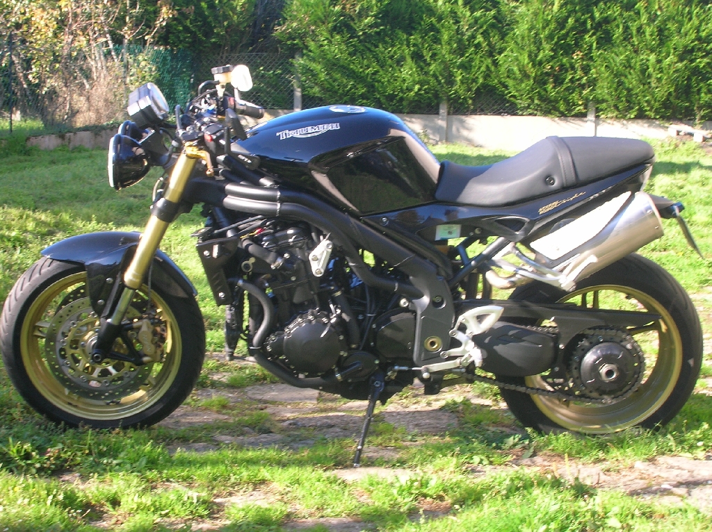 TRIUMPH Speed Triple 1050  2006 photo 2