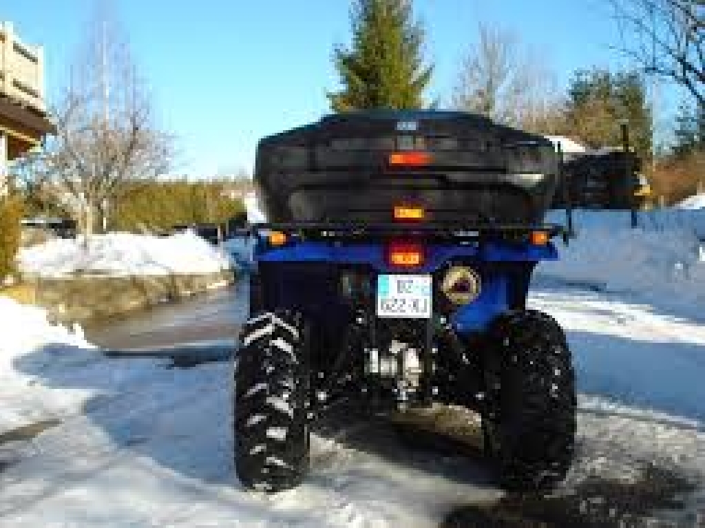 YAMAHA Grizzly 700  2010 photo 2
