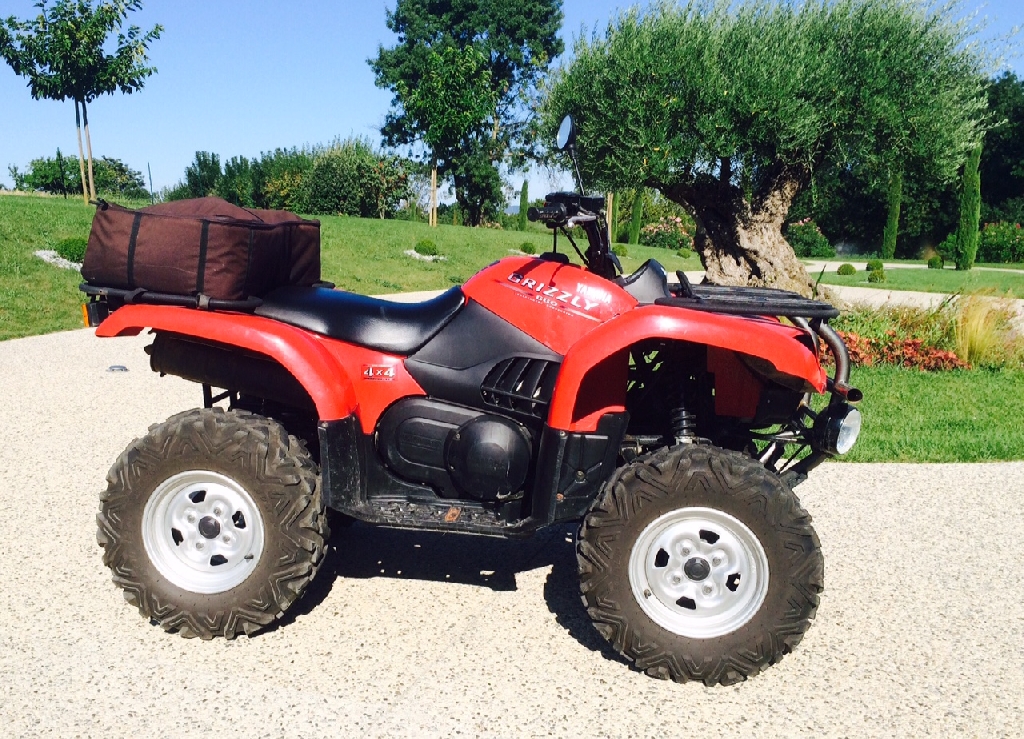 YAMAHA Grizzly 660  2004 photo 2