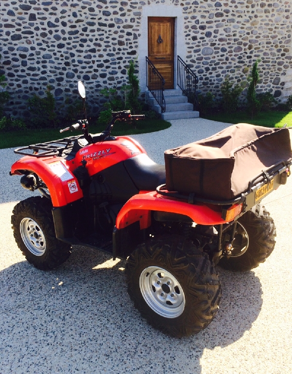 YAMAHA Grizzly 660  2004 photo 3