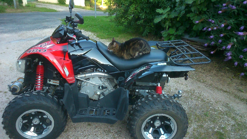 ARCTIC CAT XC 450  2014 photo 2