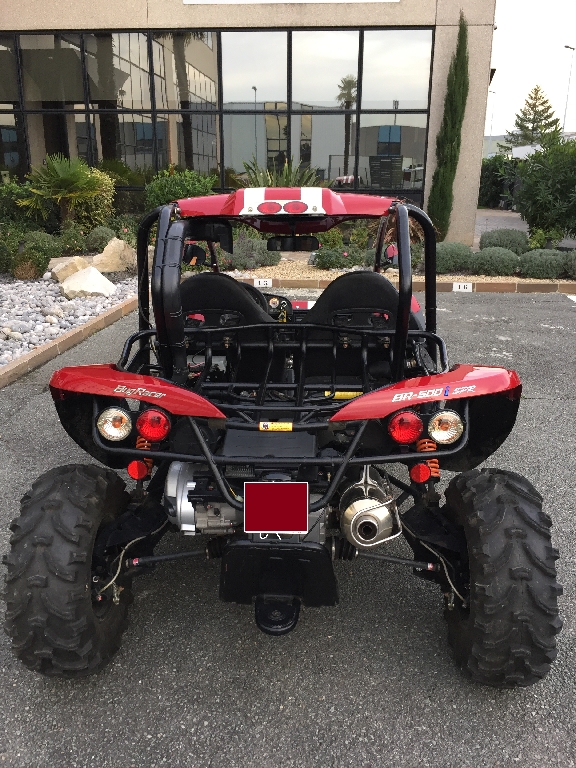 PGO Bug Racer 500 BR 500 2009 photo 2
