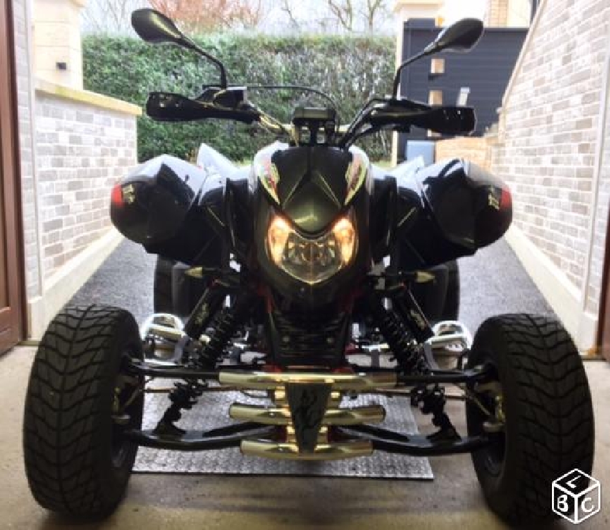 TRITON 450 Roadster  2011 photo 3