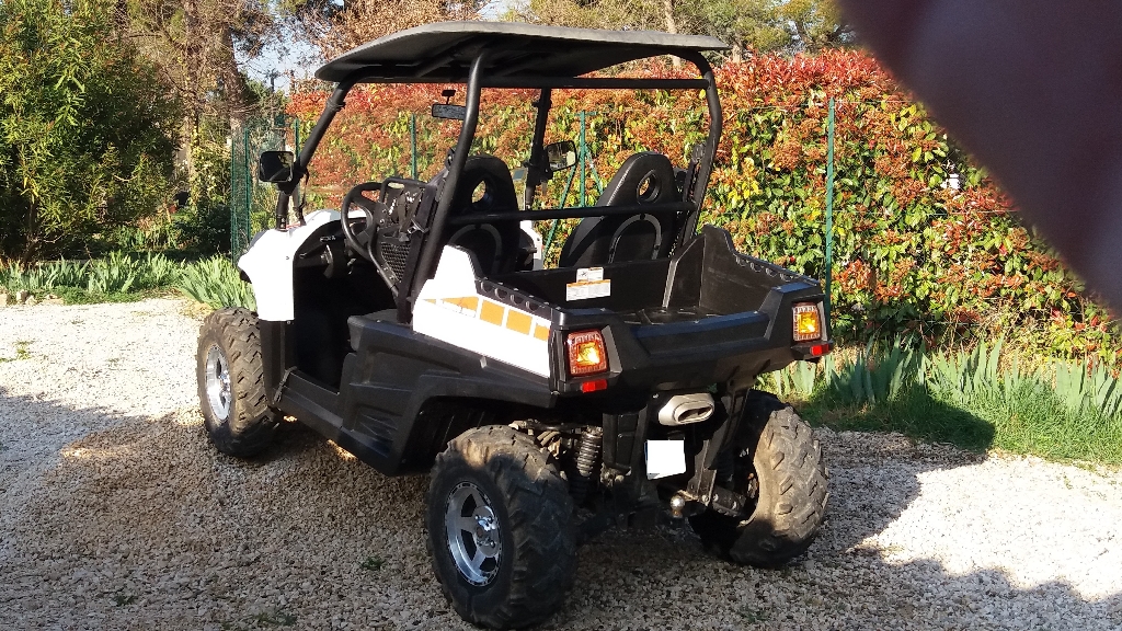 HSUN 800 blaster 800 EFI 2010 photo 3