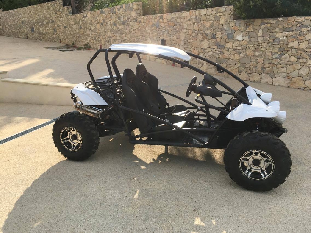 PGO Bug Rider 250  2010 photo 2