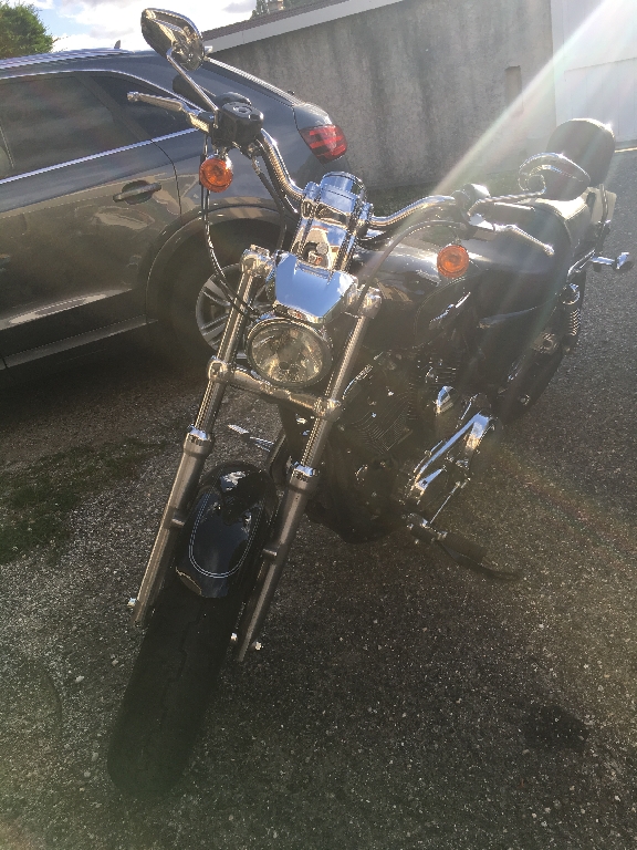 HARLEY-DAVIDSON Sportster 1200 Custom  2013 photo 2