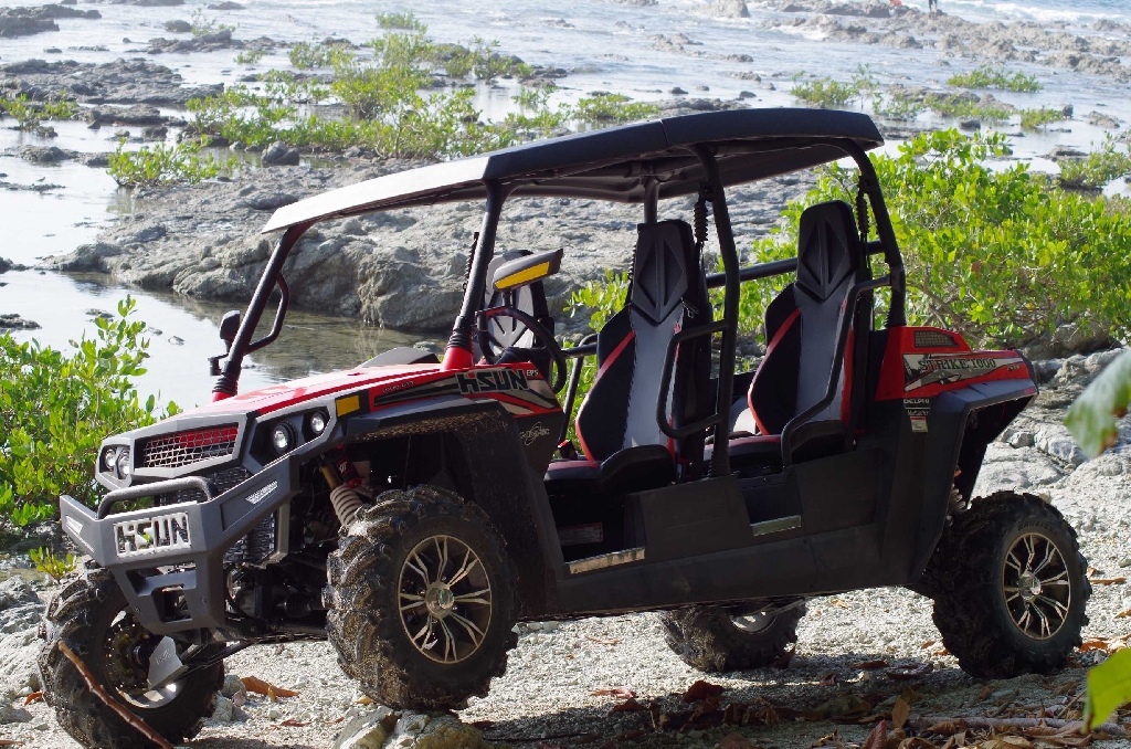 HISUN Strike 1000 Crew  2016 photo 2