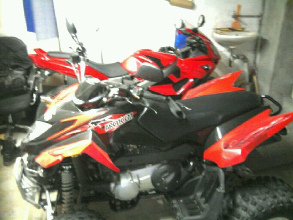ARCTIC CAT DVX 300  2010 photo 3