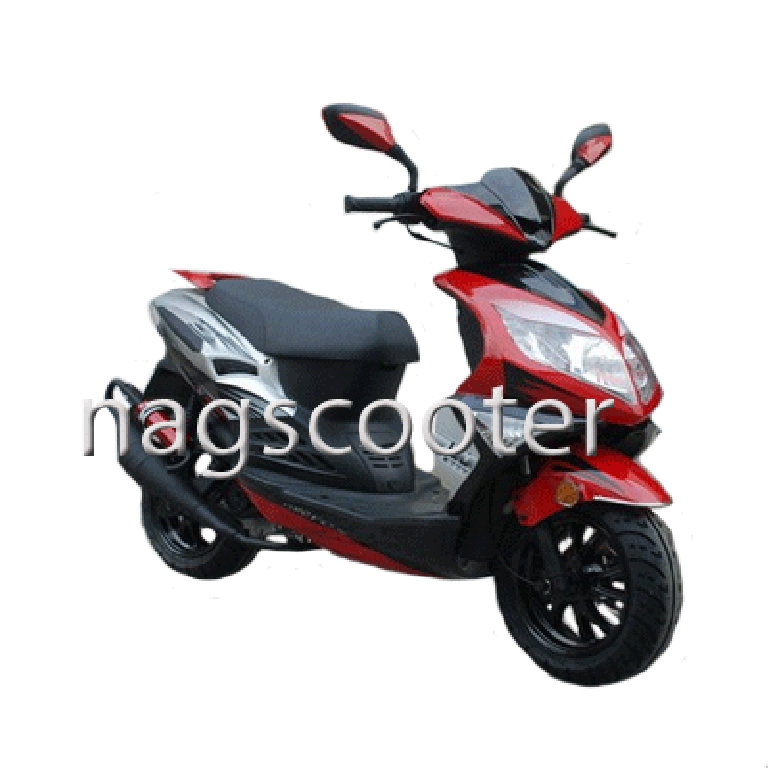 NAGSCOOTER ZR Speed 50 Sport 2012 photo 2
