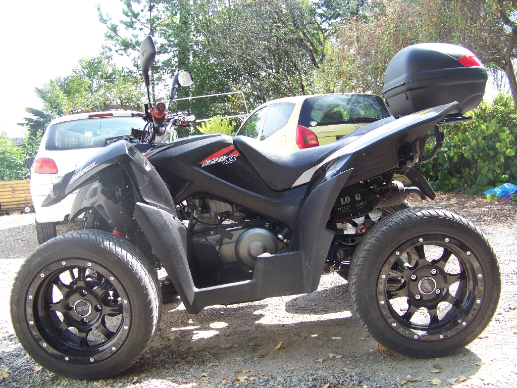 ADLY 320 S S 2009 photo 2