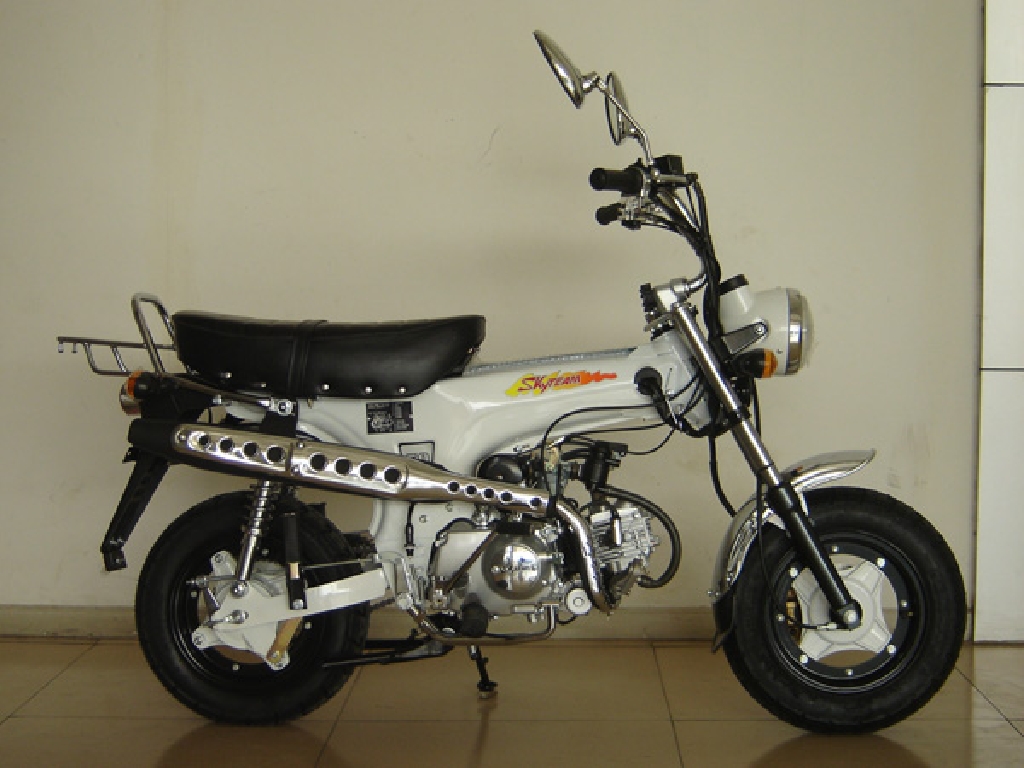 SKY TEAM Dax 50  2012 photo 5