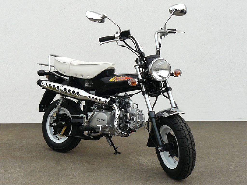 SKY TEAM Dax 125  2012 photo 2