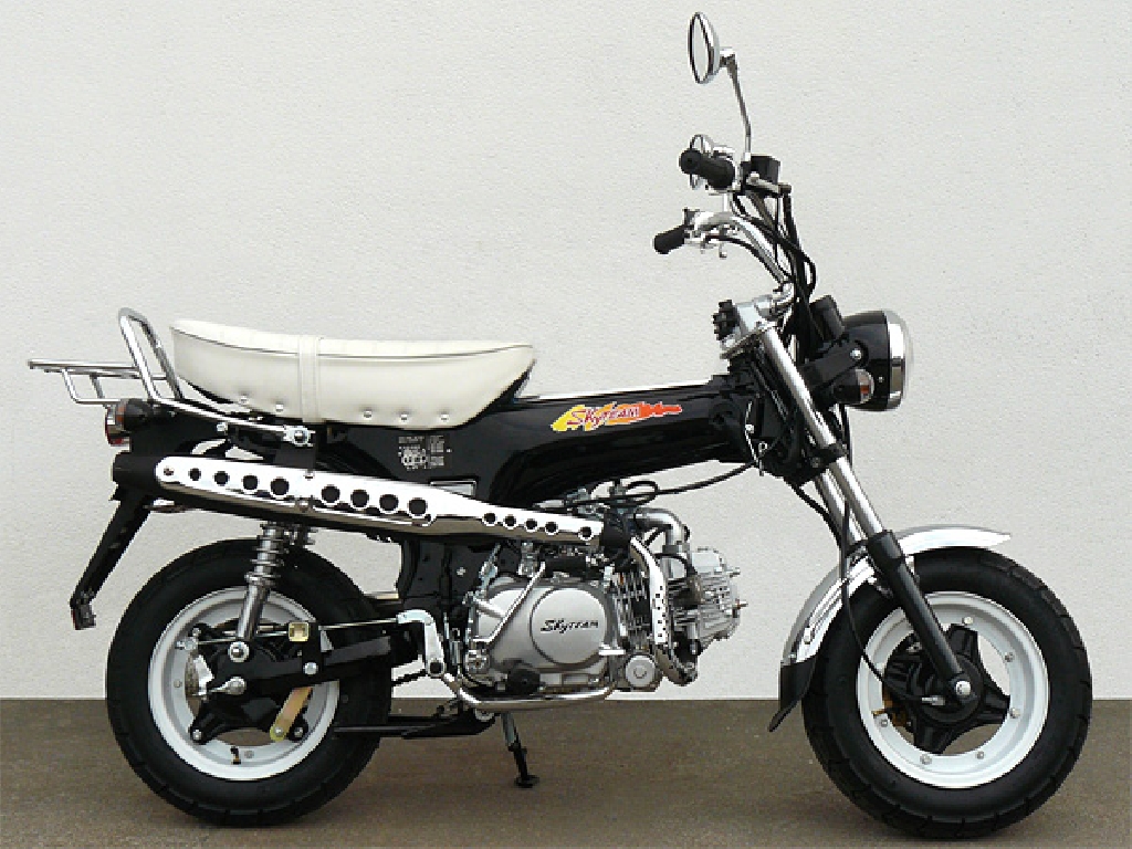 SKY TEAM Dax 125  2012 photo 3