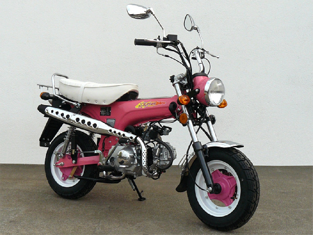 SKY TEAM Dax 125  2012 photo 4