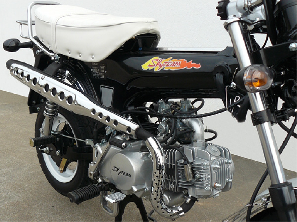 SKY TEAM Dax 125  2012 photo 6