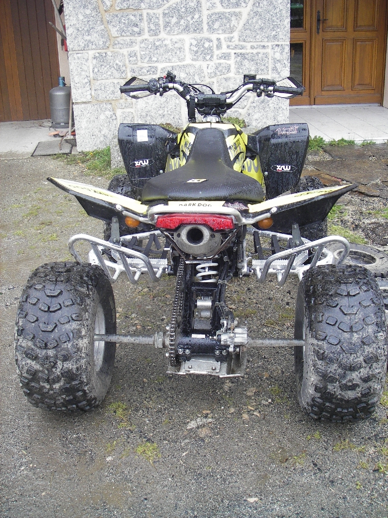 SUZUKI LTR 450 homologation paoletti racing 2008 photo 2