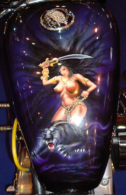 HARLEY-DAVIDSON Sportster 1200 Custom  1996 photo 3