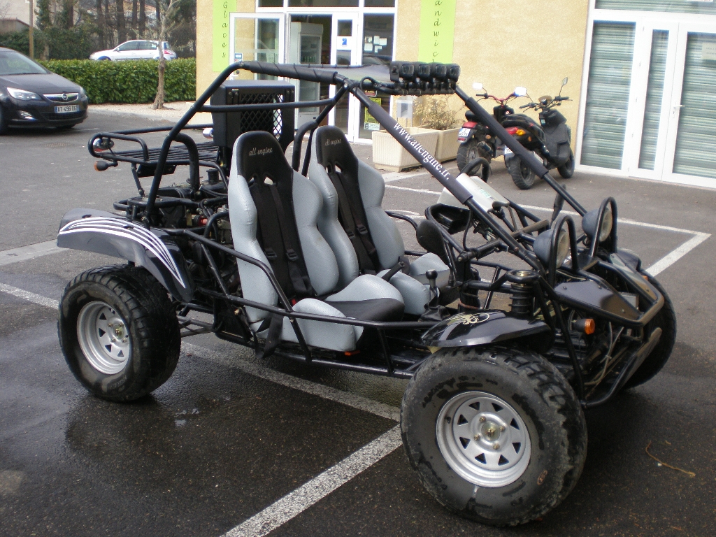 ALP IMPORT Alp Saiting 650  2007 photo 2