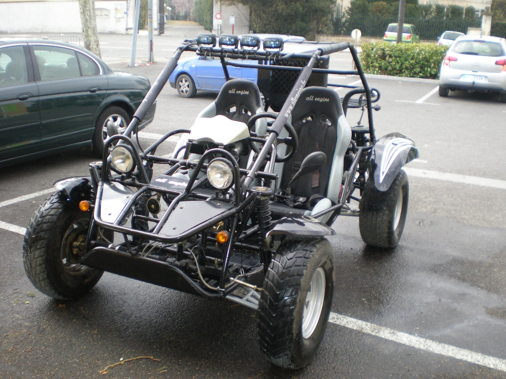 ALP IMPORT Alp Saiting 650  2007 photo 3