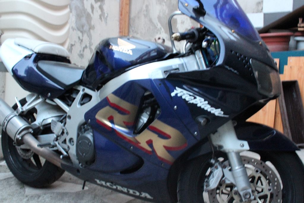 HONDA CBR 900  1999 photo 3