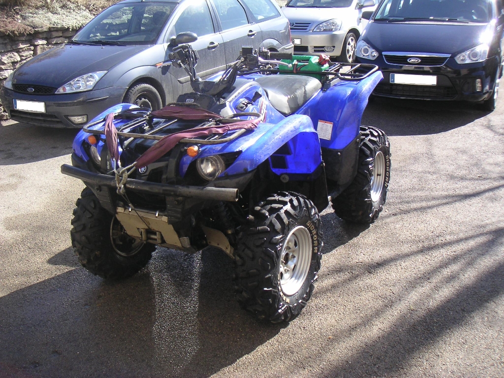 YAMAHA Grizzly 700  2008 photo 3