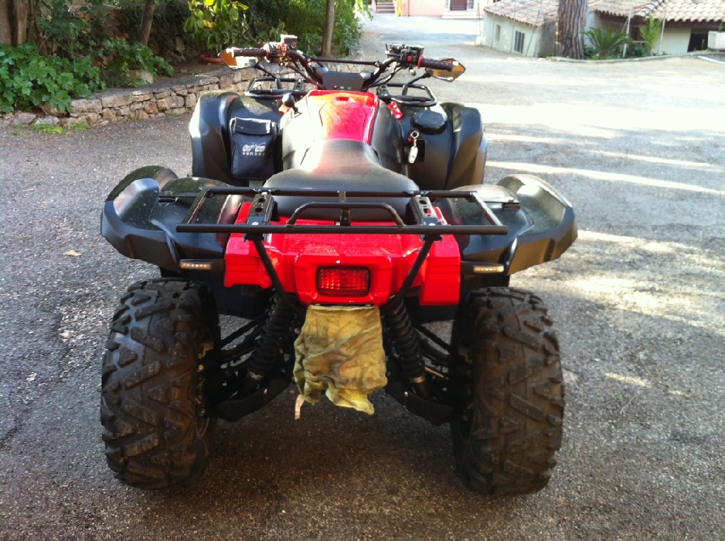 YAMAHA Grizzly 550 RED DIAMOND 2009 photo 3