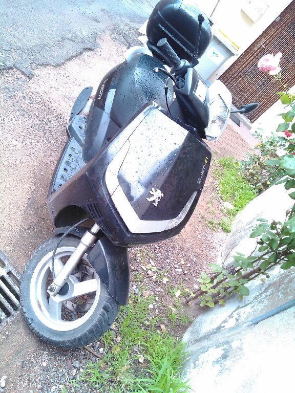 PEUGEOT Vivacity 50  2009 photo 3