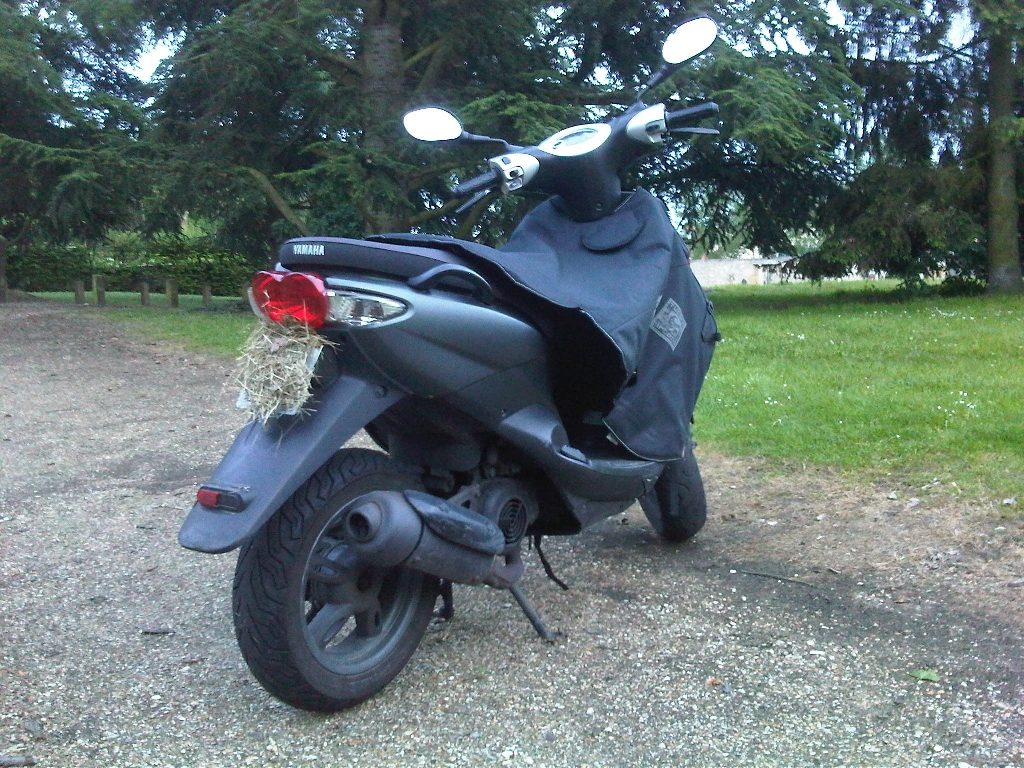 YAMAHA Neo's  2009 photo 3