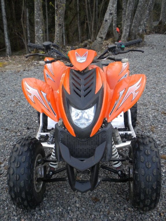 DINLI DMX 360HR  2010 photo 3