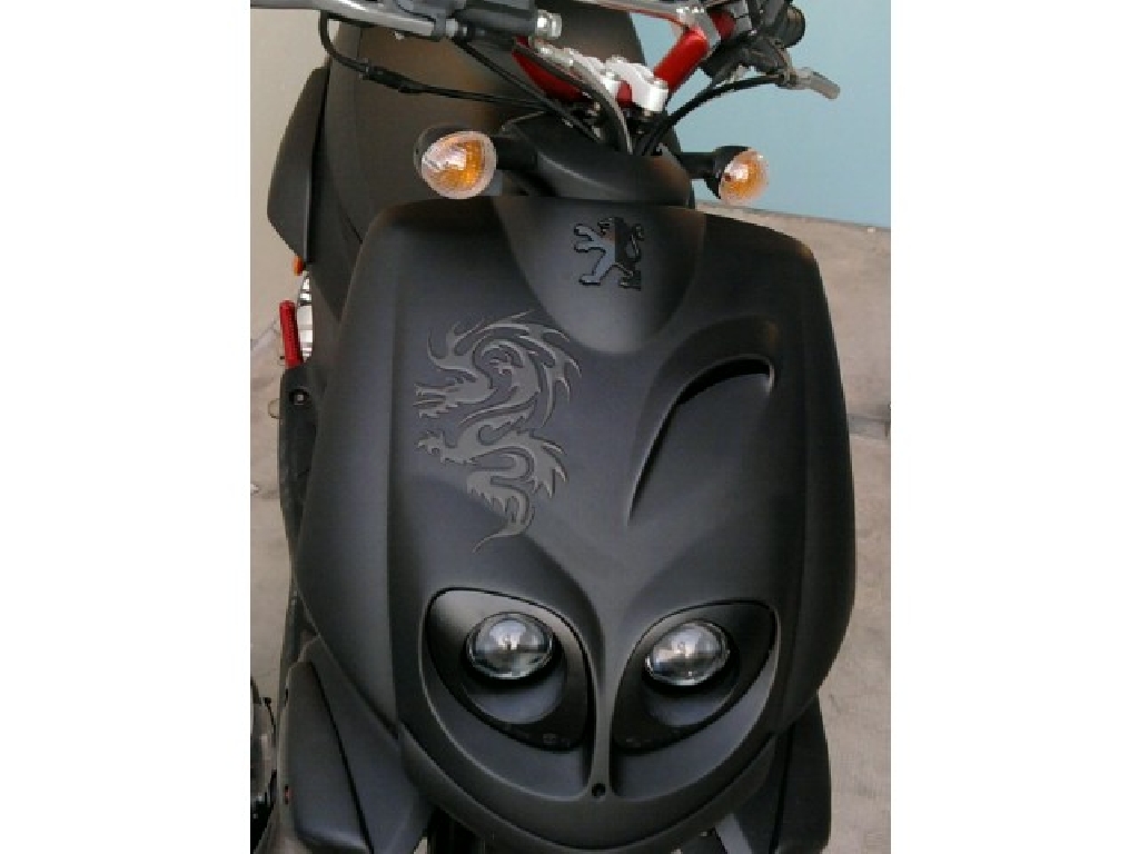 PEUGEOT TKR 50 furious 2010 photo 3