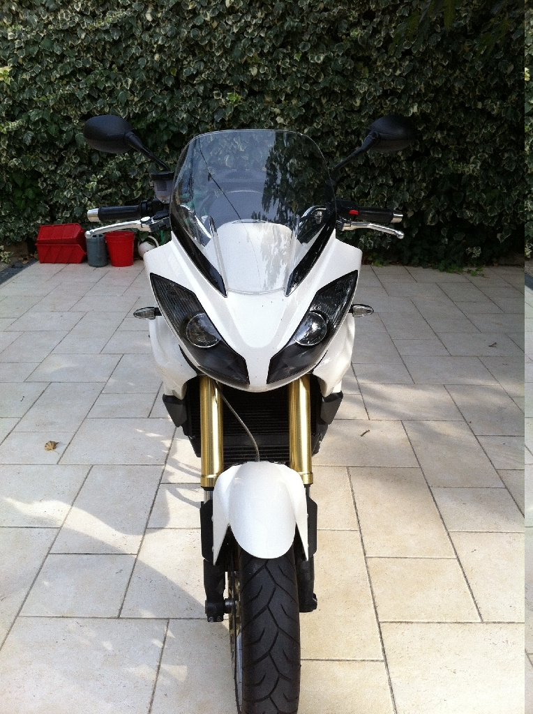 TRIUMPH Tiger 1050  2007 photo 3