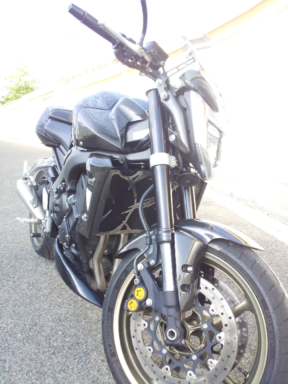 YAMAHA FZ1 N 1000  2009 photo 2