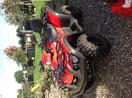 Quad occasion : TGB Blade 460 LT 4x4 IRS