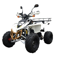 Quad occasion : SHINERAY XY 250 STXE 