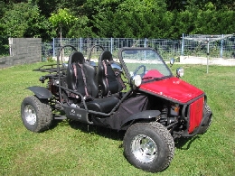 Buggy / SSV occasion : LANTANA 644T  