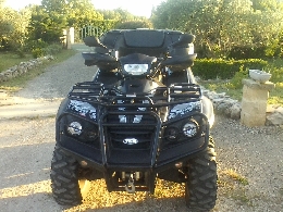 Quad occasion : TGB Blade 550 se 4x4