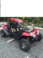 Buggy / SSV occasion : PGO Bug Racer 500 BR 500