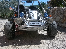 Buggy / SSV occasion : PGO Bug Rider 250 