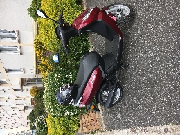 Scooter occasion : PEUGEOT Kisbee 50 