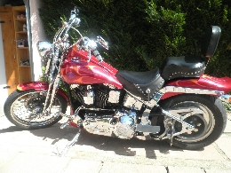 Moto occasion : HARLEY-DAVIDSON Softail Springer 