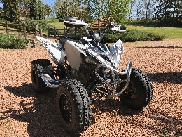 Quad occasion : YAMAHA YFM 250 R Raptor kit déco